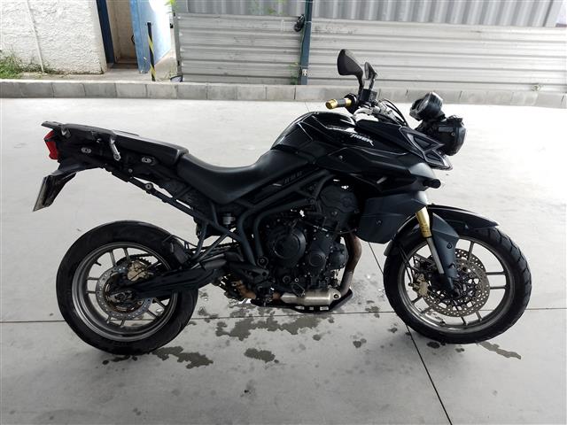 4965- TIGER XR